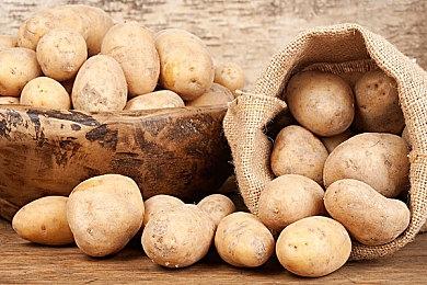 厂商宣布《冬日幸存者》延期一周发售以处理玩家反馈